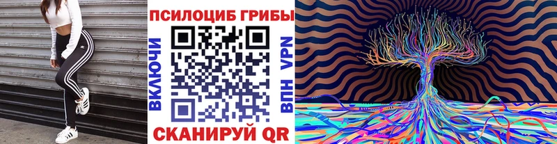 Купить где  Железногорск  Галлюциногенные грибы Cubensis